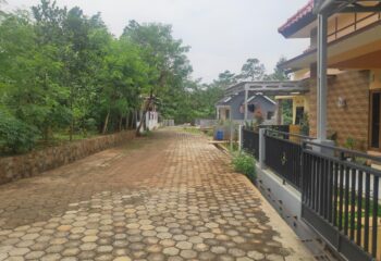 IMG_20210304_113708
