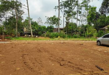 WhatsApp Image 2022-04-17 at 13.19.06 (1)