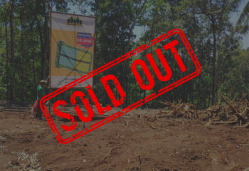 soldoutsafina_Kavling patemon berseri-1
