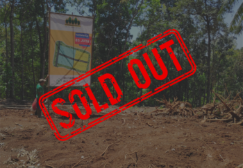 soldoutsafina_Kavling patemon berseri-1